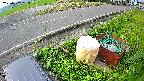 yotec6-20230707063110.jpg