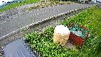 yotec6-20230707080112.jpg