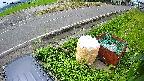 yotec6-20230707084110.jpg