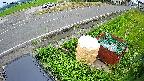yotec6-20230707125110.jpg