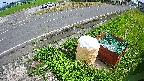 yotec6-20230707143110.jpg