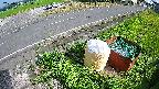 yotec6-20230707160110.jpg