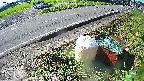 yotec6-20230808083111.jpg