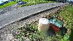 yotec6-20230808090111.jpg