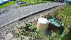 yotec6-20230808095110.jpg