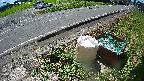 yotec6-20230808104109.jpg