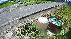yotec6-20230808113110.jpg