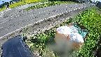 yotec6-20230909141149.jpg
