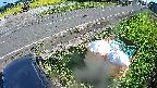 yotec6-20230909152110.jpg