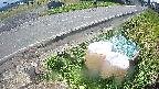 yotec6-20231010113110.jpg
