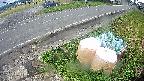 yotec6-20231010123126.jpg