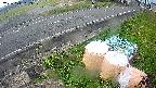 yotec6-20231111063111.jpg