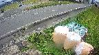 yotec6-20231111105110.jpg
