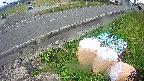 yotec6-20231111150108.jpg