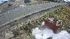yotec6-20240101124111.jpg