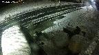 yotec6-20240303201107.jpg
