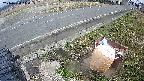yotec6-20240404140110.jpg