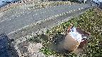 yotec6-20240404150110.jpg