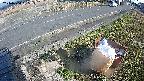 yotec6-20240404155110.jpg