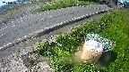 yotec6-20240505085110.jpg
