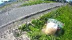 yotec6-20240505091111.jpg