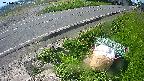 yotec6-20240505092111.jpg