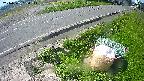 yotec6-20240505094111.jpg