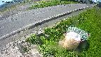 yotec6-20240505095111.jpg