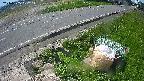 yotec6-20240505102112.jpg