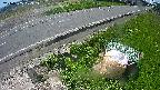 yotec6-20240505103111.jpg