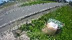 yotec6-20240505111111.jpg