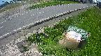 yotec6-20240505113112.jpg