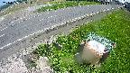 yotec6-20240505135110.jpg