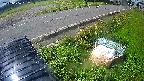 yotec6-20240606082109.jpg