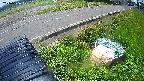 yotec6-20240606101110.jpg