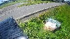yotec6-20240606104112.jpg
