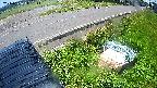 yotec6-20240606111112.jpg