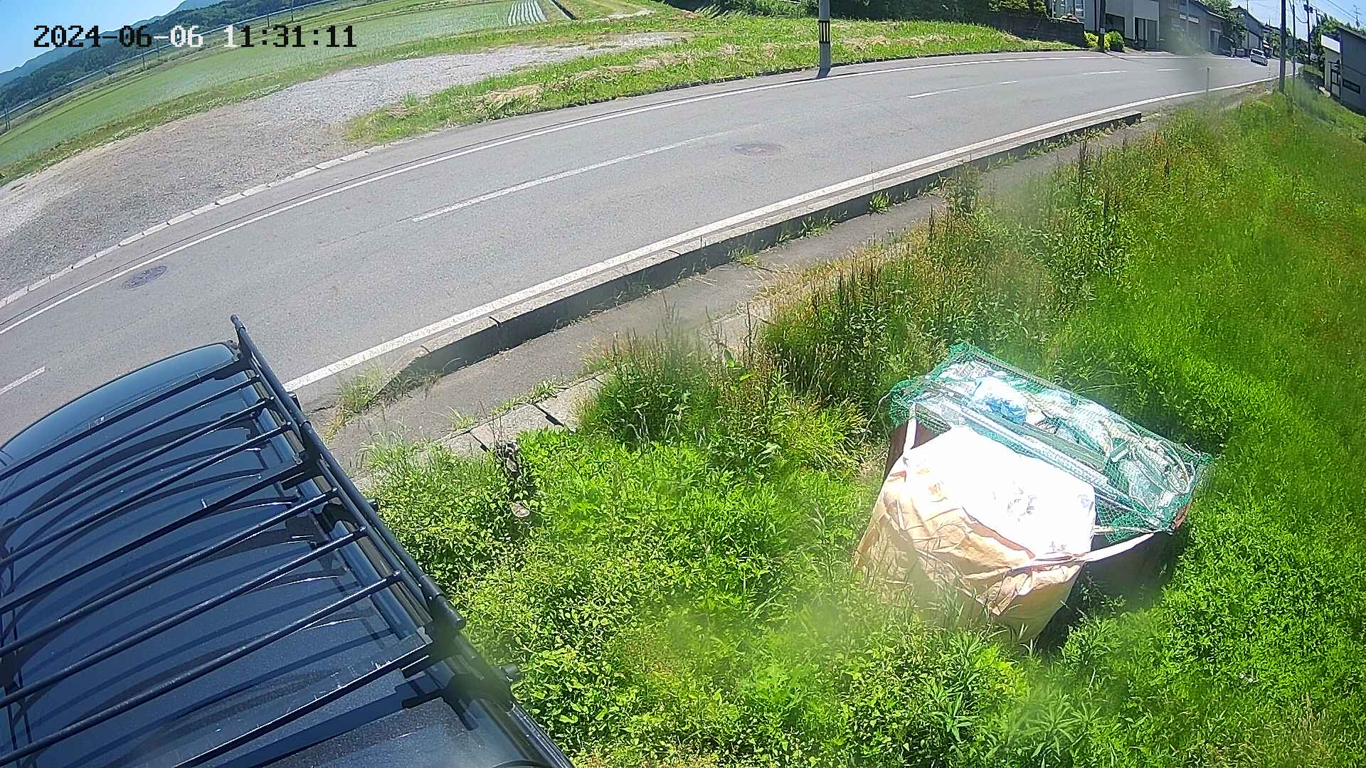 yotec6-20240606113113.jpg