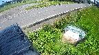 yotec6-20240606113113.jpg