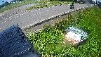 yotec6-20240606114111.jpg