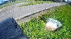 yotec6-20240606115110.jpg