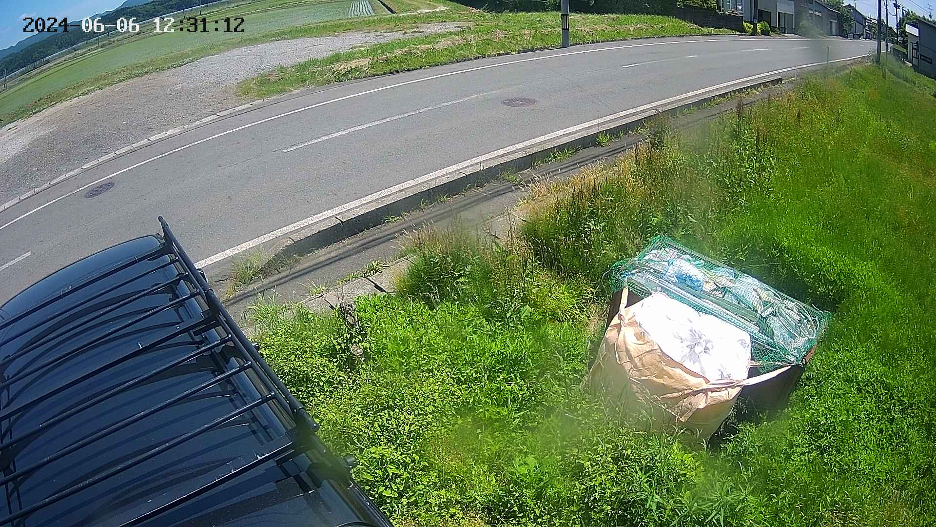 yotec6-20240606123113.jpg