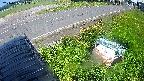 yotec6-20240606143110.jpg