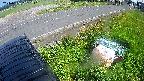 yotec6-20240606151111.jpg
