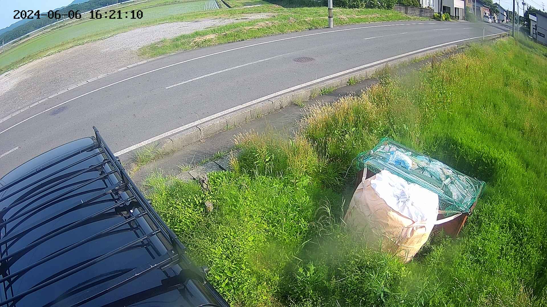 yotec6-20240606162111.jpg