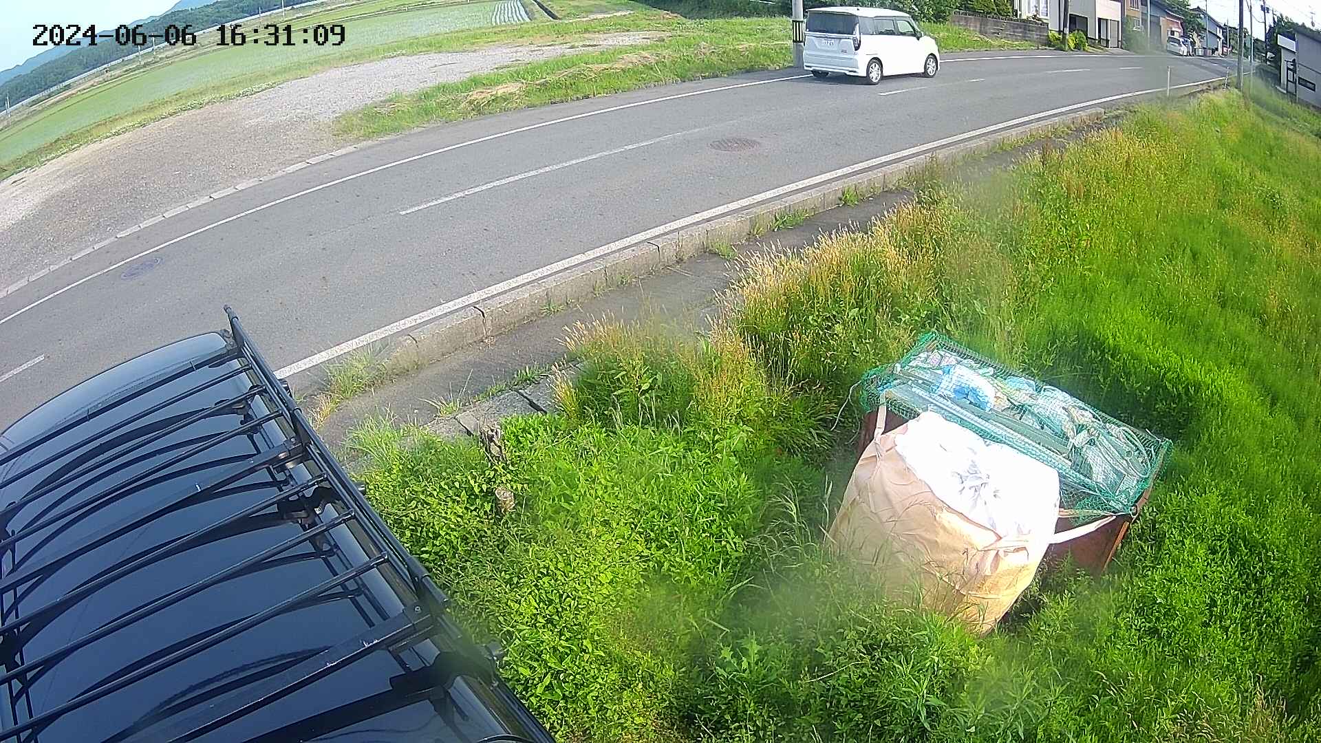 yotec6-20240606163111.jpg