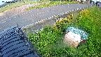 yotec6-20240606181109.jpg