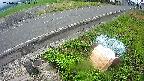 yotec6-20240707120110.jpg