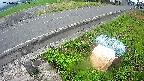 yotec6-20240707123110.jpg