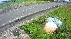 yotec6-20240707124110.jpg